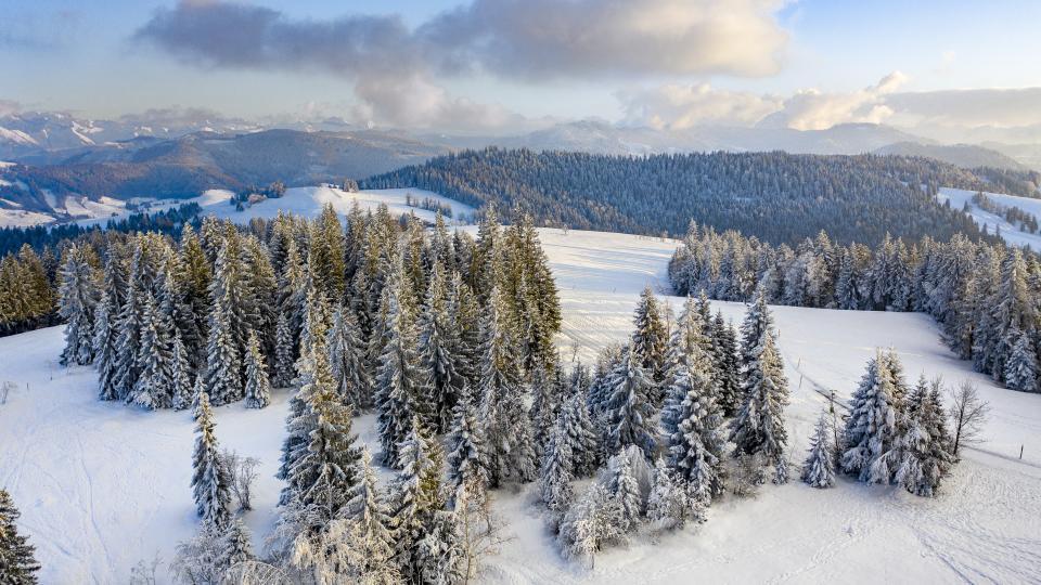 Verschneite Winterlandschaft auf dem Ragen mit Blick in die Glarner Alpen.