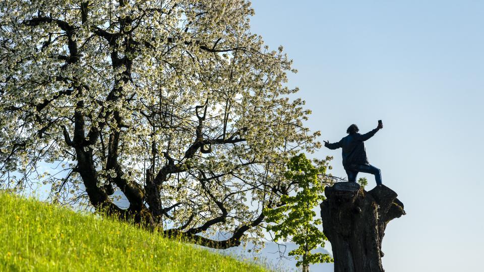 Eine Holz Skulptur steht vor einem blühenden Kirschbaum.