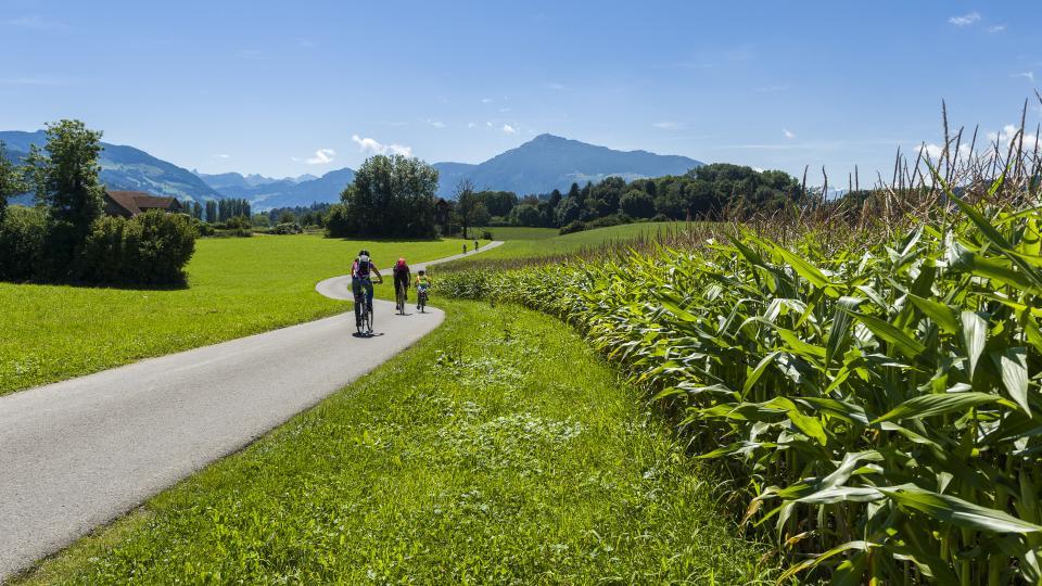 Zwei Menschen fahren auf dem Velo durch eine grüne Sommerlandschaft. Im Hintergrund ist die Rigi sichtbar.