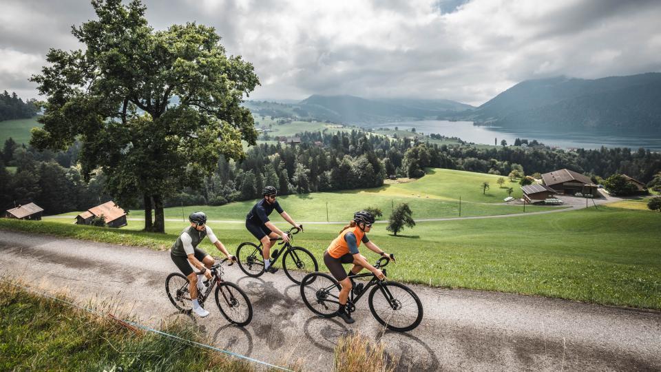 Eine Gruppe Gravelfahrende pedalieren auf einer Asphaltstrasse den Berg hoch. Die Strass führt zwischen grünen Alpwiesen mit Blick auf den Ägerisee den Berg hoch.