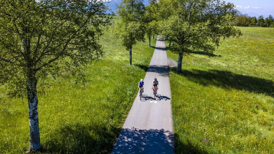 Zwei Gravelfahrende pedalieren auf einer Asphaltstrasse durch grüne Wiesen mit einzelnen Laufbäumen am Strassenrand.