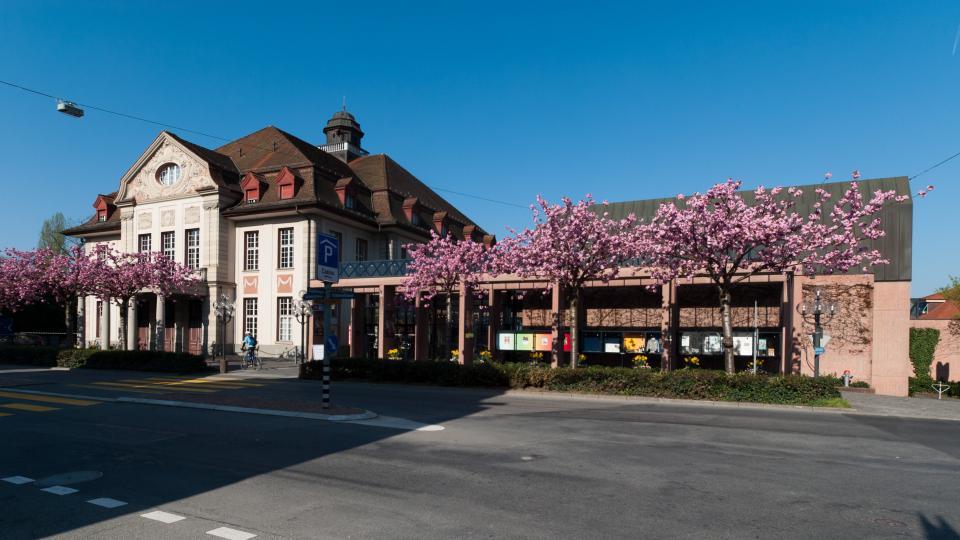 Rosablühende Kirschbäume stehen vor dem neobarocken Theater Casino Zug
