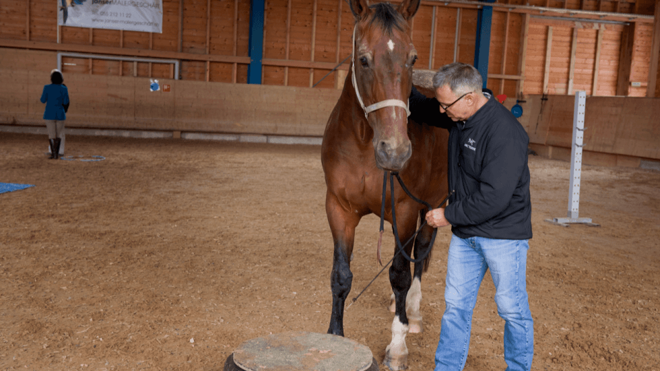 Mann im Workshop mit einem Pferd