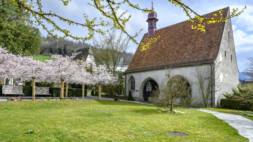 Blühende Zuger Kirschbäume stehen neben einer Steinkapelle.