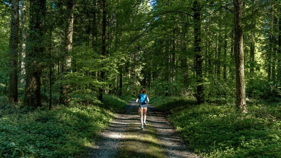 Eine Frau joggt auf einer Forststrasse durch den Tannenwald.