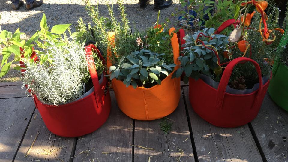Drei bepflanzte Gardenbags auf einem Holztisch. 