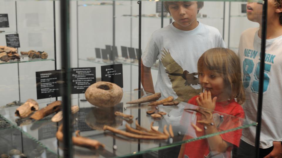Interessantes Bestaunen von Fundgegenständen im Museum für Urgeschichte(n) Zug