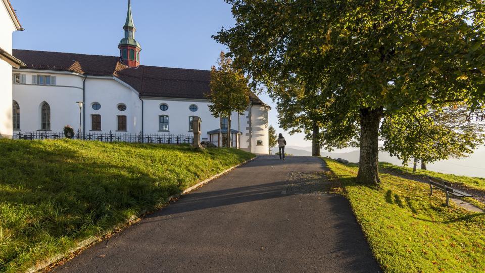Kloster Maria Hilf beim Gubel steht links neben einer Strasse und grossen Linde.