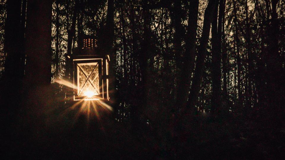 Laterne im dunkeln Wald
