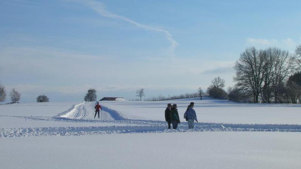 Langläufer skatet durch die verschneite Winterlandschaft auf dem Lindenberg.