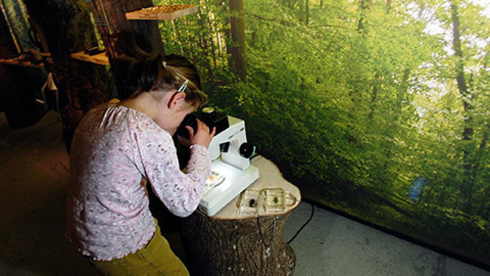 Ein Kind untersucht mit einem Mikroskop verschiedene Materialien.