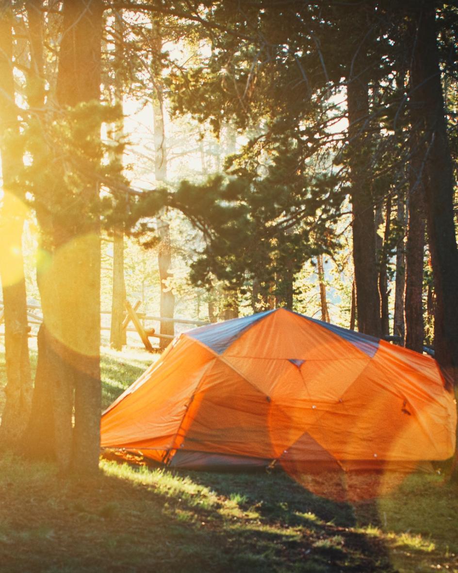 Ein Zelt steht auf grüner Wiese im Wald und die Sonne scheint durch die Nadelbäume.