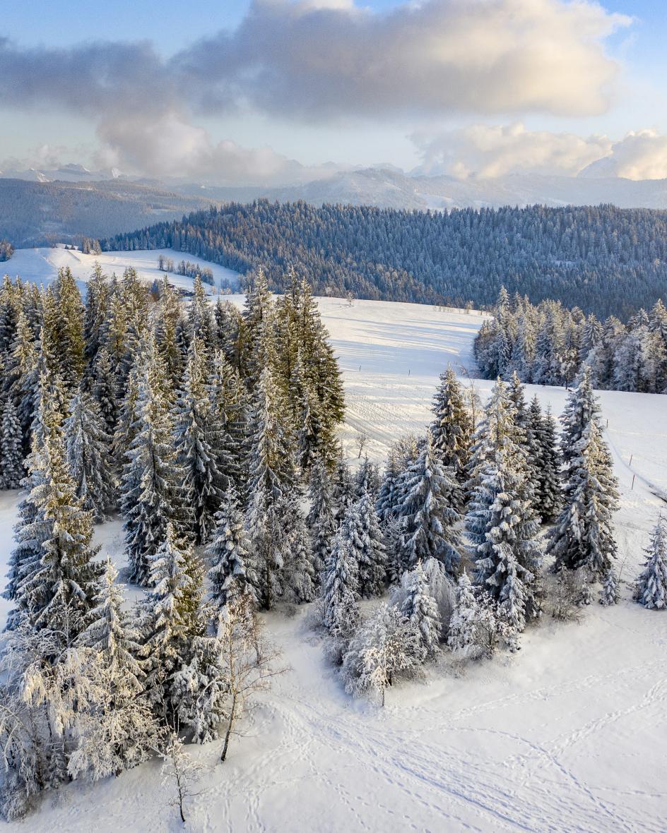 Verschneite Winterlandschaft auf dem Ragen mit Blick in die Glarner Alpen.