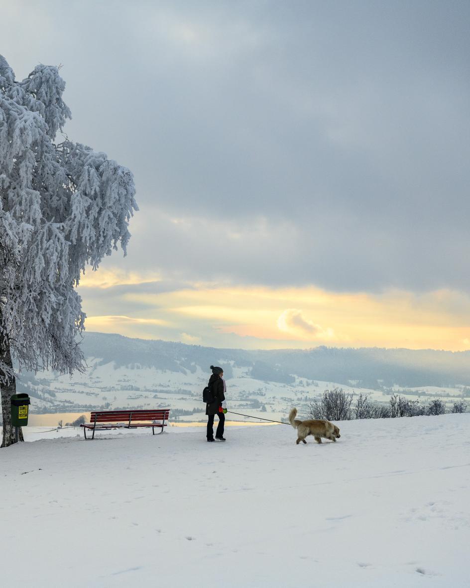 Frau mit Hund wandert durch die verschneiten Winterlandschaft auf dem Raten bei Zug.